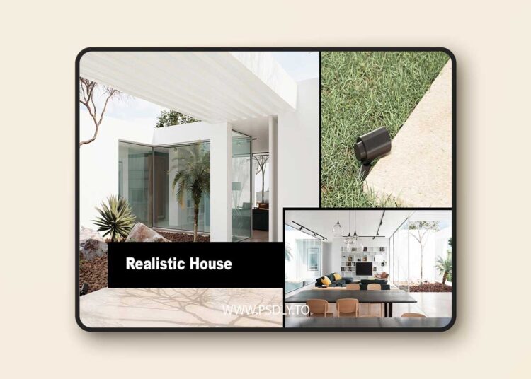 DVIZ Realistic House Archviz Project (4.24 – 4.27 and 5.0 - 5.7) 1 DVIZ Realistic House Archviz Project (4.24 – 4.27 and 5.0 - 5.7)