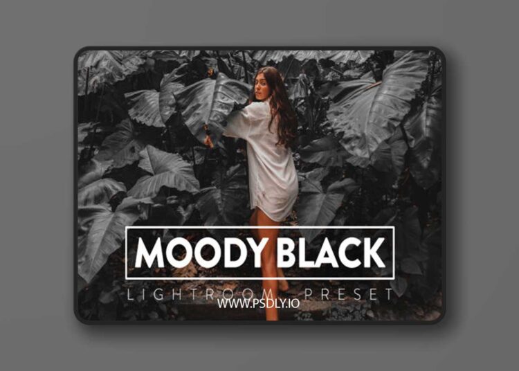 FilterGrade - 10 Moody Black Lightroom Preset 1 FilterGrade 10 Moody Black Lightroom Preset