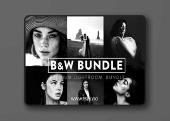 FilterGrade - 60 BLACK and WHITE BUNDLE Lightroom Presets 5 FilterGrade 60 BLACK and WHITE BUNDLE Lightroom Presets