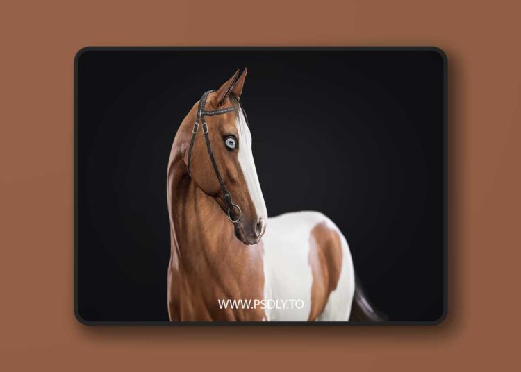 Horse Herd 5.0 (4.27 and 5.0 – 5.6) for Unreal Engine 1 Horse Herd 5.0 (4.27 and 5.0 – 5.6)