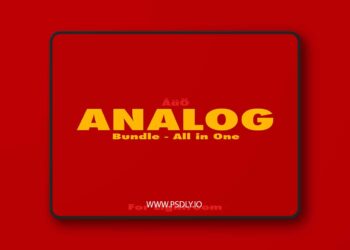 Linus Bergman Analog Bundle Lightroom Presets