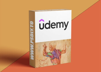 Rey's Anatomy: 8-week Anatomy Course