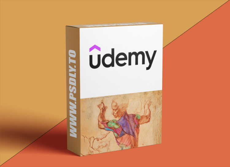 Udemy – Rey's Anatomy: 8-week Anatomy Course 1 Rey's Anatomy: 8-week Anatomy Course