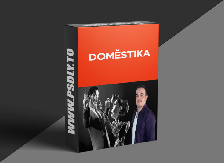 Domestika – Rigging: Body Articulation of a 3D Character 1 Rigging Body Articulation of a 3D Character