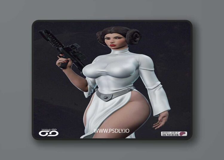 Shadaloo Studios – Princess Leia – 3D Print Model STL