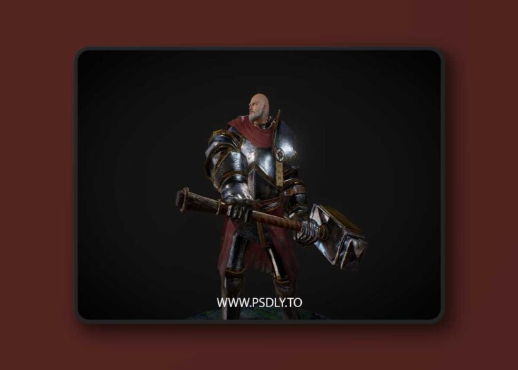 Stylized Paladin Character (4.12 – 4.26 - 5.0 - 5.7)