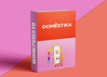 UX/UI Design Specialization: From Research to Accessibility