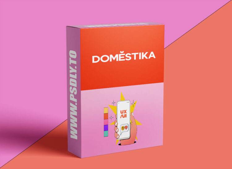 UX/UI Design Specialization: From Research to Accessibility