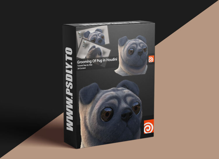 Artstation - Grooming Of Pug In Houdini 1 Artstation - Grooming Of Pug In Houdini