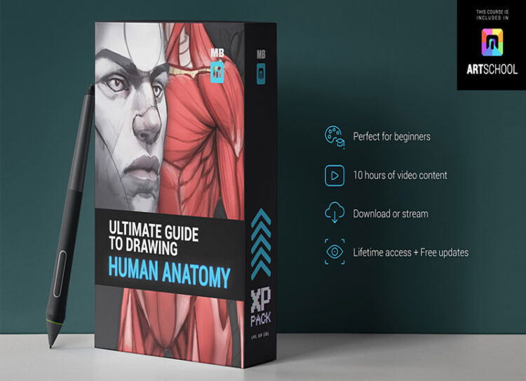 Cubebrush - Marc Brunet - ULTIMATE Anatomy 1 Cubebrush - Marc Brunet - ULTIMATE Anatomy