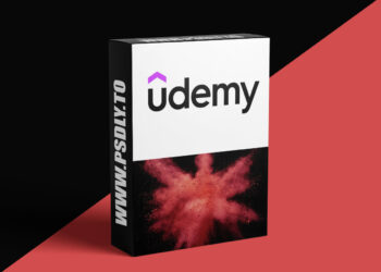 Udemy – Google Ads: Strategic Mindset for Profit & Scaling 6 Google Ads: Strategic Mindset for Profit & Scaling