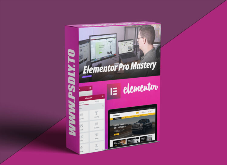 LivingWithPixels Elementor Pro Workflow Mastery