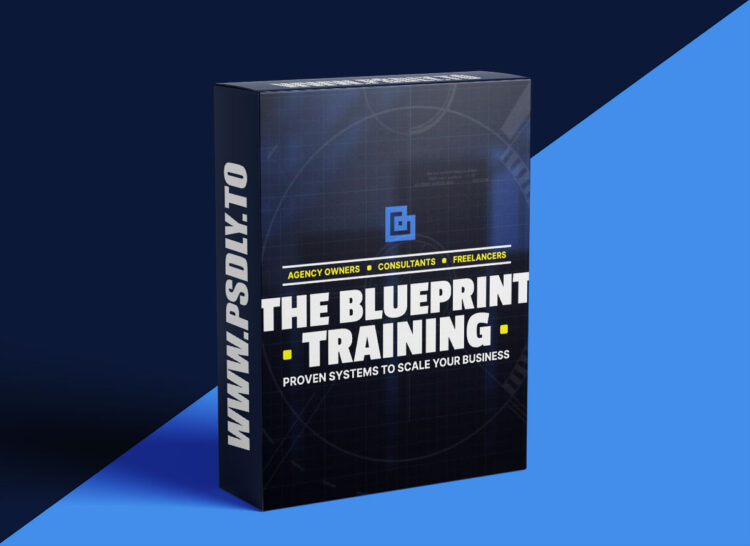 Ryan Stewart – The Blueprint Training 2025