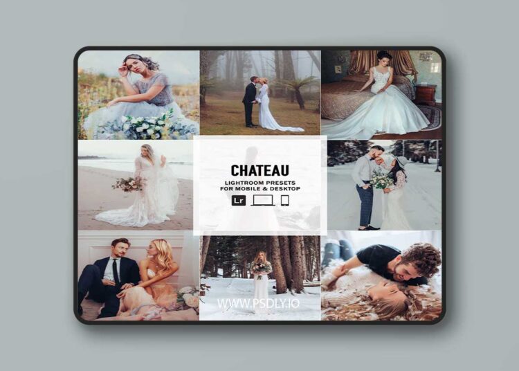 The Luxe Lens - Chateau - Single Color Palette Lightroom Presets & AI Tools 1 The Luxe Lens Chateau Single Color Palette Lightroom Presets AI Tools